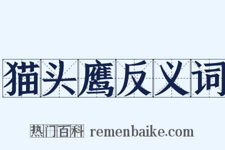 猫头鹰反义词是什么意思的图片